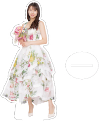 img { max-width : 100% ; height : auto ; }